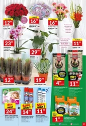 Zawsze po drodze - Twój Market