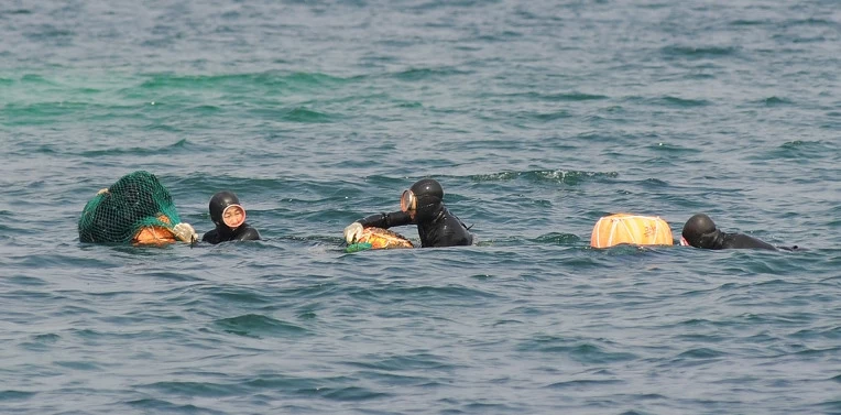 Haenyeo - kobiety morza Kilka osób w czarnych kombinezonach neoprenowych unosi się na powierzchni wody, trzymając się plastikowych boj i dużej siatki, najprawdopodobniej podczas tradycyjnego połowu.