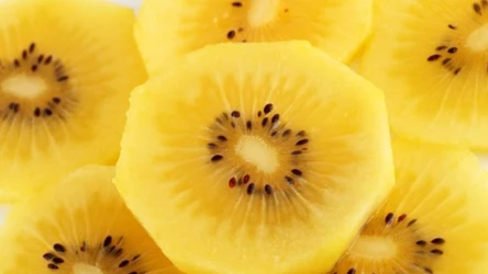 Złote kiwi to mniej znana odmiana o bogatych właściwościach