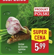 Zestaw do kiszenia Polski