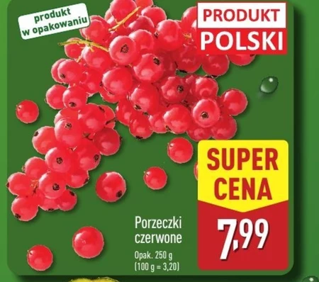 Porzeczki