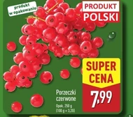 Porzeczki