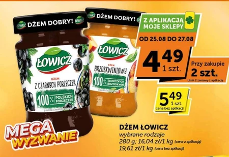 Джем Łowicz