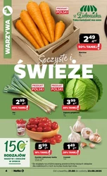 Dyskontowe asy! - Netto