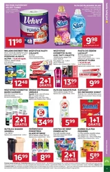 Od czwartku w Stokrotce