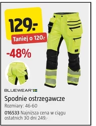 Штани Bluewear