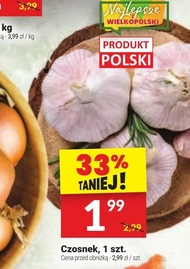Czosnek Wielkopolski