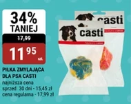 Собачий м'яч Casti