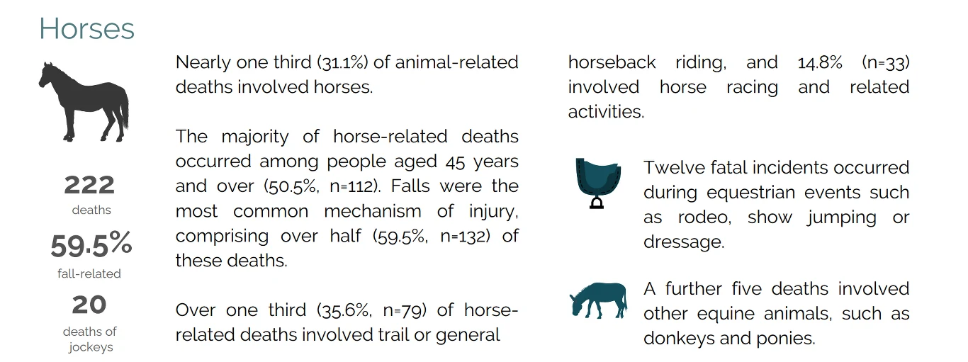 Infografika przedstawiająca statystyki zgonów związanych z końmi, w tym liczbę przypadków, udział wśród dorosłych powyżej 45 roku życia, główne mechanizmy urazów oraz podział na konkretne aktywności jeździeckie i inne zwierzęta koniowate.