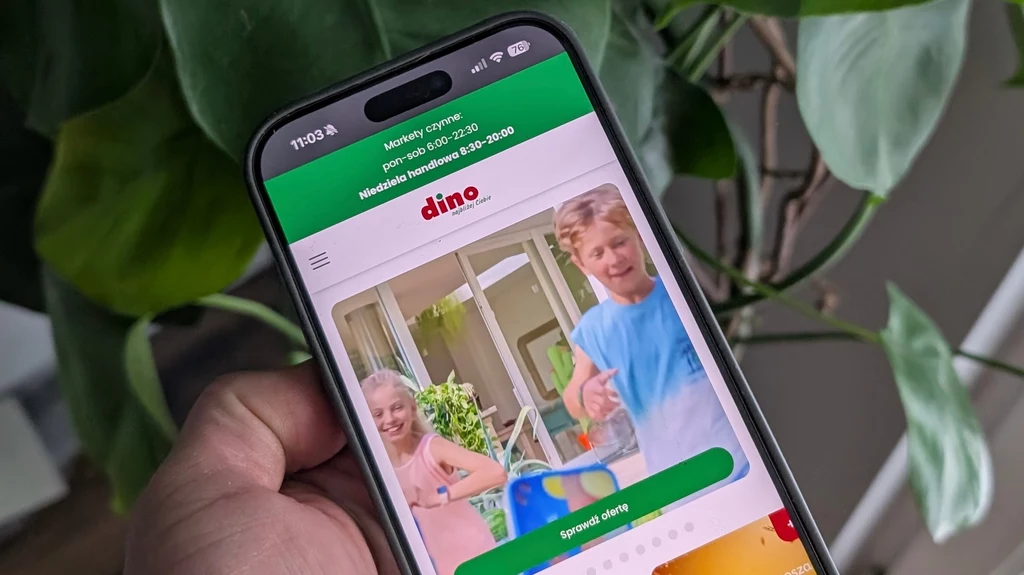 Dino jak Biedronka i Lidl. Będzie miało własną aplikację.