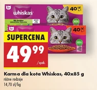 Karma dla kota Whiskas