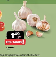 Czosnek