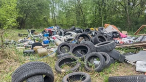 Lasy Państwowe alarmują. Zaśmiecanie lasów niesie za sobą opłakane skutki