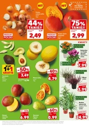 Mocny Start - Kaufland