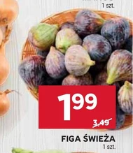Figa