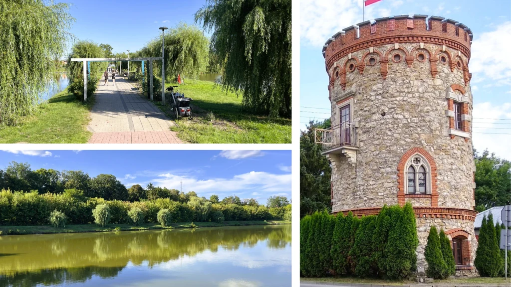 Aleja wierzbowa nad zalewem i zabytkowa baszta z XIX wieku to wizytówki Kazimierzy Wielkiej Kompozycja trzech zdjęć: alejka spacerowa z ławkami pośród zieleni i wierzb, malowniczy staw otoczony drzewami oraz zabytkowa okrągła wieża z kamienia z czerwonymi detalami, zwieńczona flagą.