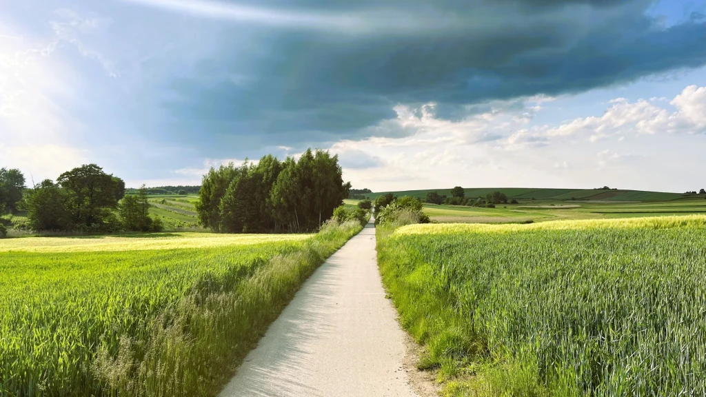Asfaltowa ścieżka wśród łąk i pól ciągnie się z Wiślicy kilometrami - do części szlaku EuroVelo 11 Wąska, jasna droga wśród zielonych pól prowadzi przez wiejską okolicę w stronę horyzontu, po bokach pola porośnięte zbożem i trawą, na niebie ciemne, burzowe chmury przeplatane promieniami słońca.