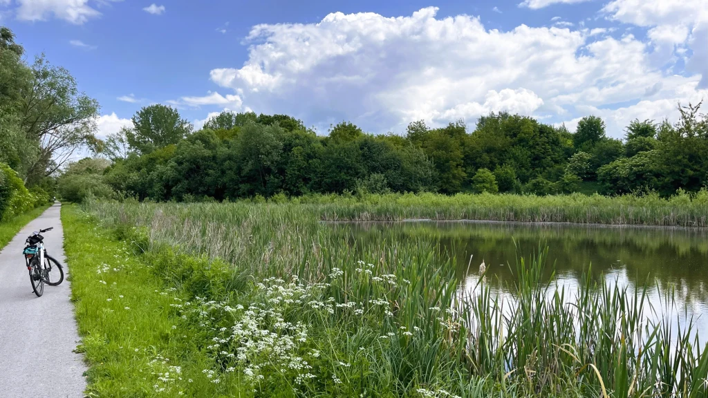 Szlak z Kazimierzy Wielkiej do Wiślicy jest zachwycający - prowadzi przez zielone i ukwiecone tereny Droga rowerowa biegnąca wzdłuż zbiornika wodnego otoczonego gęstą roślinnością, na ścieżce stoi samotny rower, a nad całością rozciąga się błękitne niebo z białymi chmurami.