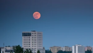 Tego nie możesz przegapić. Prawdziwa gratka dla fanów astronomii