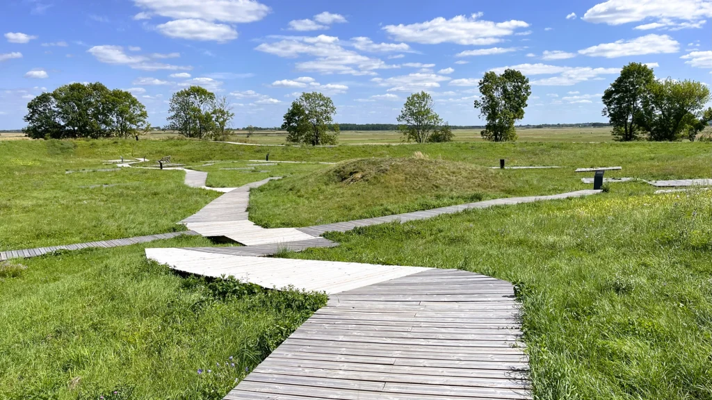 Grodzisko w Wiślicy zachęca do spacerów i poznawania średniowiecznych tajemnic Drewniana ścieżka wijąca się przez zieloną łąkę z kilkoma samotnymi drzewami na horyzoncie, pod błękitnym niebem z nielicznymi chmurami