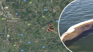 W belgijskiej prowincji Antwerpia doszło do wycieku oleju opałowego 