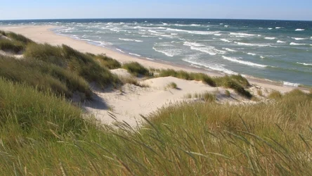 Zapomniana szwedzka wyspa kryje w sobie mnóstwo tajemnic. Co odkryli na niej naukowcy? 