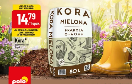Kora