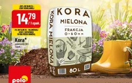 Kora