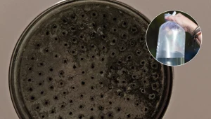 Weź worek pod prysznic i zrób to. Kamień zniknie i będzie czysty jak łza