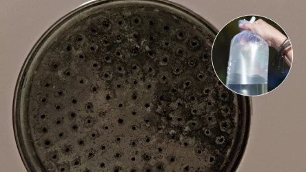 Reklamówka pod prysznicem może być bardzo przydatna. Dzięki niej wreszcie porządnie wyczyścisz brudną słuchawkę