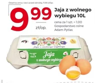 Jaja Pytlas