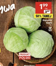 Kapusta biała Polski