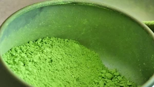 Matcha to studnia zdrowia. Ale świat zachodni zapomniał o ważniejszym