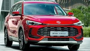 W Europie chińskie auto to wstyd? Chińczycy zderzyli się z murem