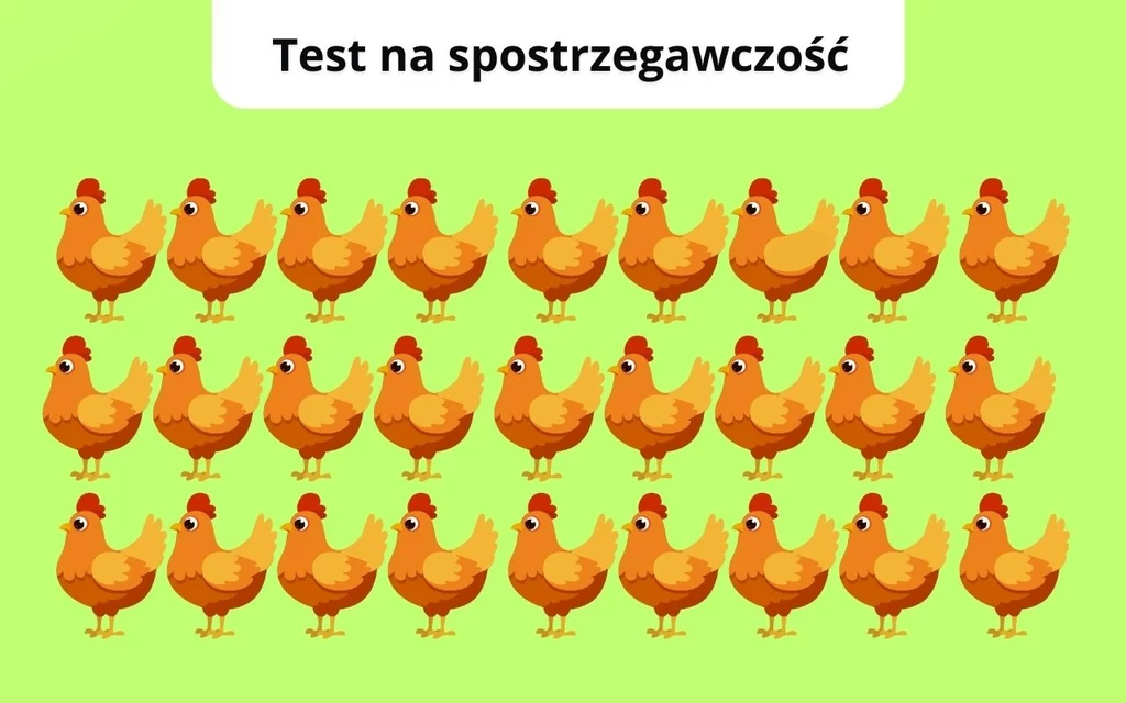 Trudny test na spostrzegawczość. Widzisz różnicę?