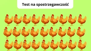 Prosty rysunek, trudne zadanie. Sprawdź, czy znajdziez inną kurę
