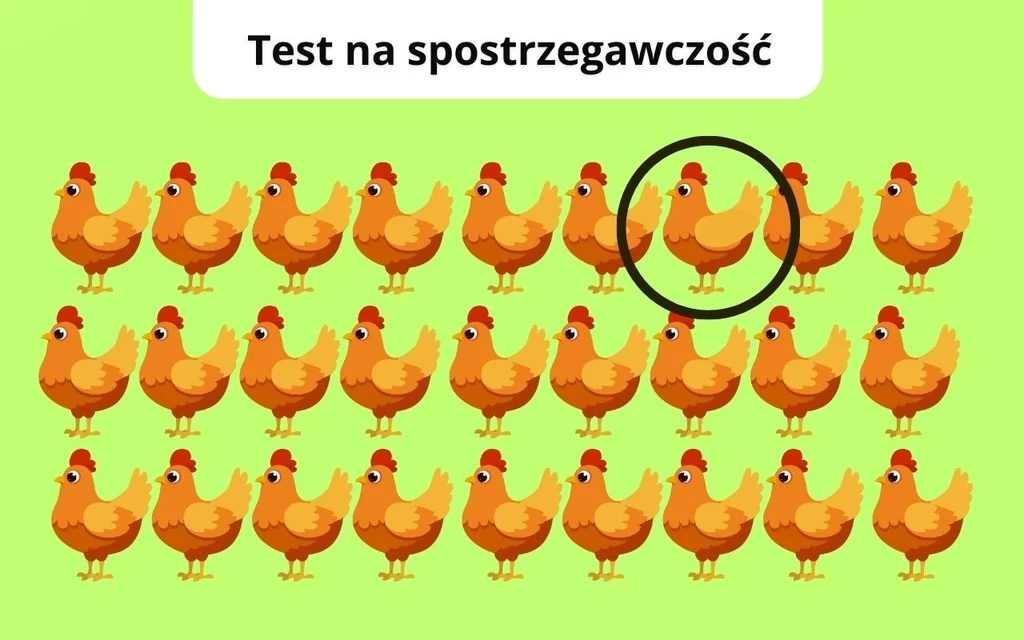 Ilustracja przedstawia rzędy rysunkowych kur na zielonym tle, jedna z nich jest wyróżniona czarnym okręgiem, u góry znajduje się napis 'Test na spostrzegawczość'.