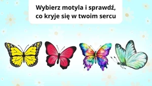 Psychotest: Wybierz motyla i sprawdź, co skrywa twoje serducho