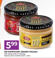 Salsa dip Roleski