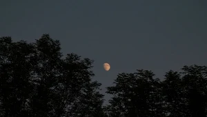 Księżyc na jedną noc stanie się Czarnym Księżycem i będzie niewidoczny dla ludzkiego oka. Zdj. ilustracyjne