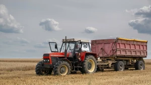 To żelazny składnik jadłospisu w Rosji. Ale w tym roku może go zabraknąć