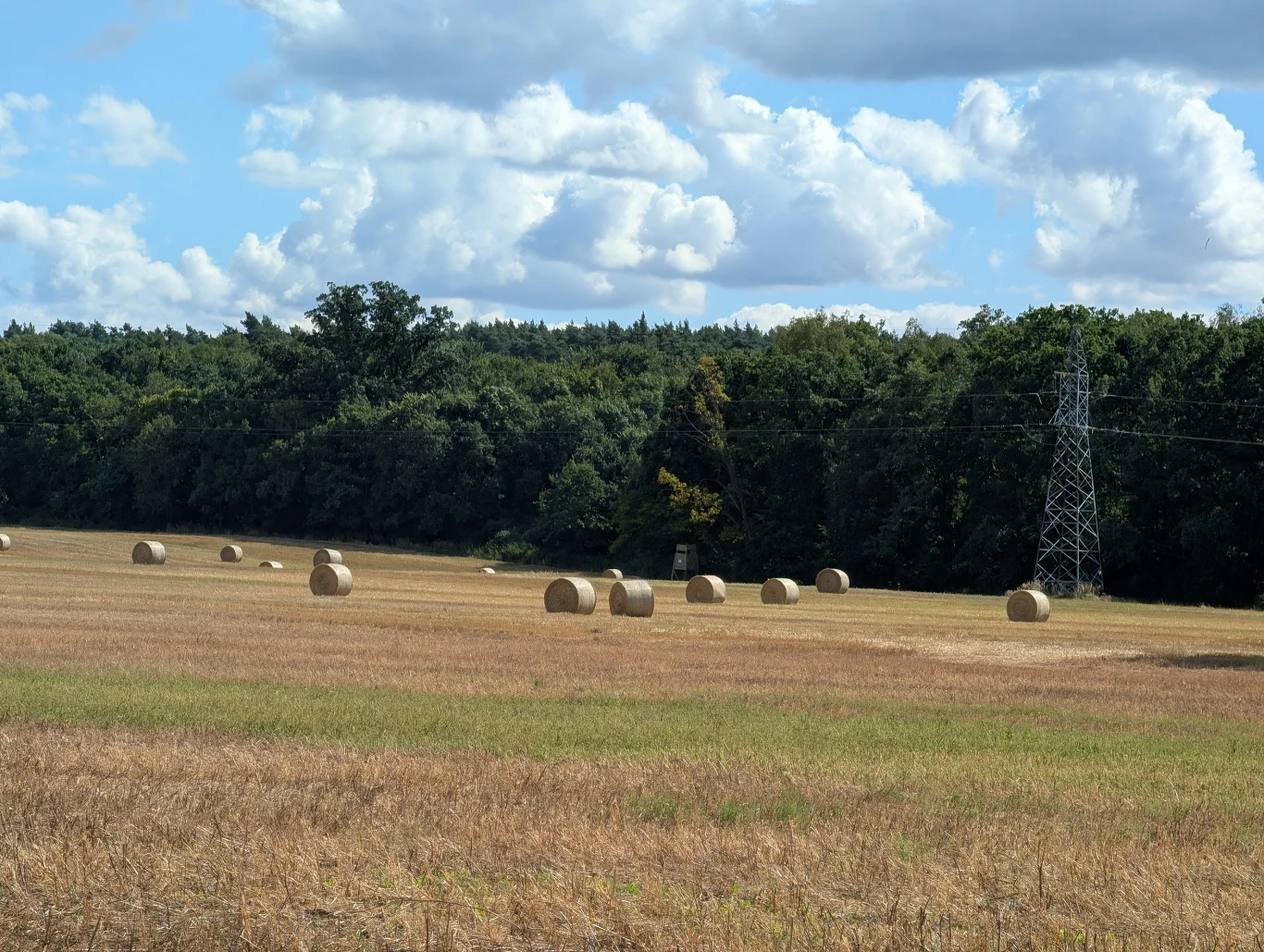 Rolnicze pole ze słomianymi belami na tle linii lasu, w oddali stojąca konstrukcja słupa energetycznego na tle nieba z białymi chmurami.