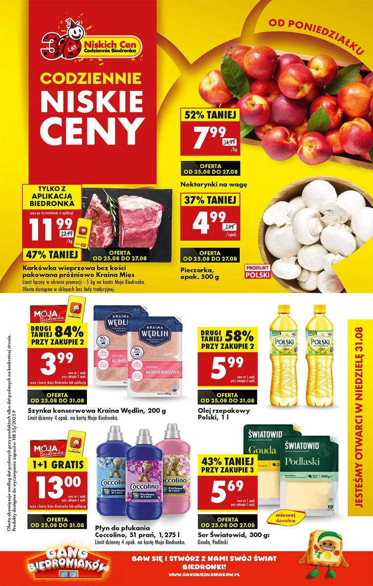 leaflet page preview image
