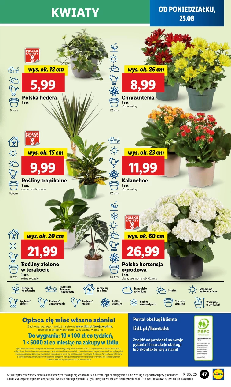 leaflet page preview image