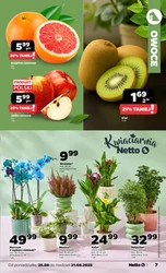 Tygodniowe hity zakupowe - Netto