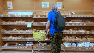 GUS podał dane na temat wzrostu sprzedaży detalicznej w lipcu 2025 r.