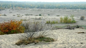 Gorący piasek, miraże i historia jak z filmu. Tak wygląda polska Sahara