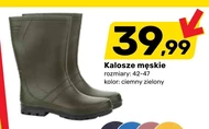 Kalosze