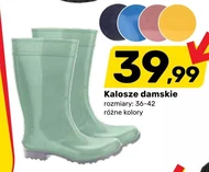 Kalosze