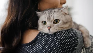 Niezwykły domownik, który koi nerwy, wspiera serce i poprawia nastrój